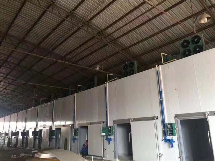 宁夏专业冷库安装 新冷源大型冷库建设 厂家配送送货上门