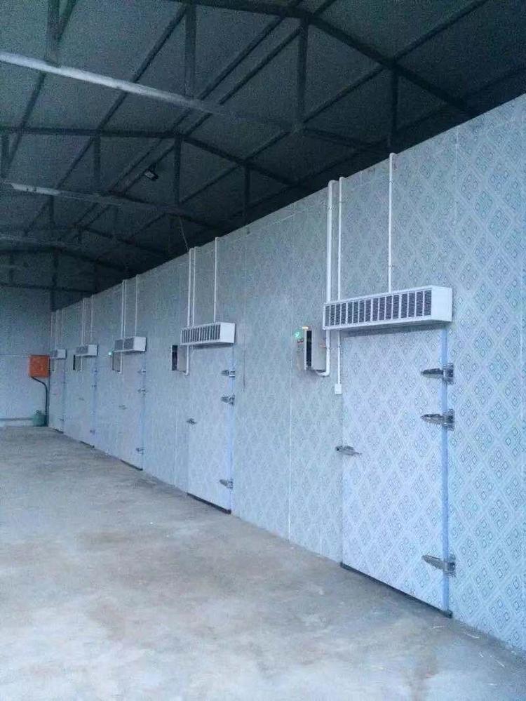 宁夏专业冷库安装 新冷源大型冷库建设 厂家配送送货上门