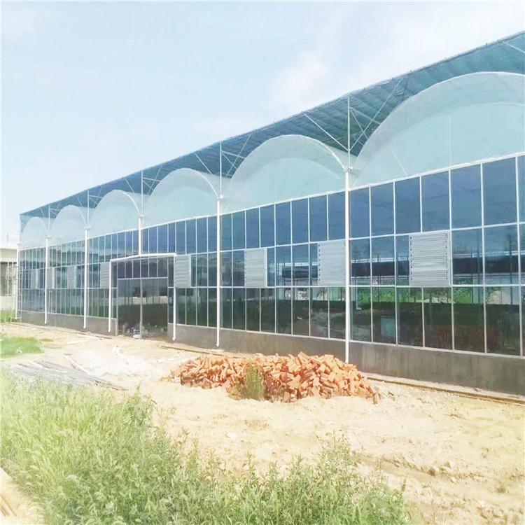 宿迁连栋大棚支持定制厂家直销 定做大量供应温室水帘 降温系统铝合金湿帘大棚配件现货供应