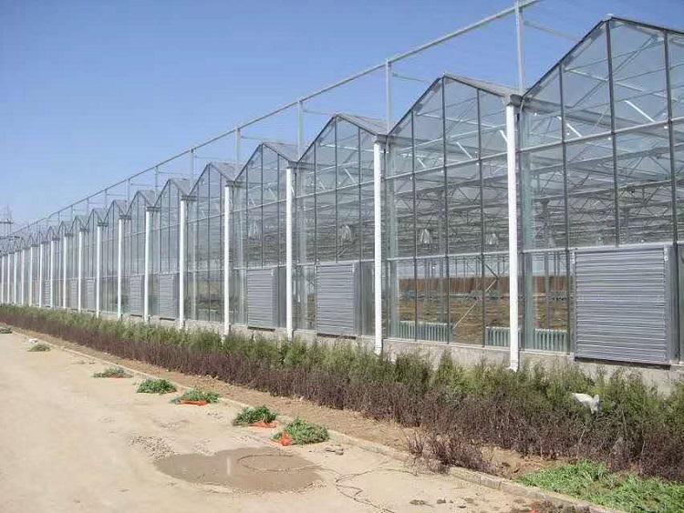 山东新型水轮洗沙机新型水轮洗沙机价格量大优惠