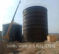 支持定做厌氧发酵罐_CSTR沼气发酵罐_沼气反应罐沼气工程