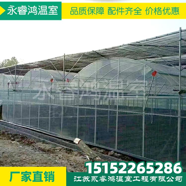 镀锌管大棚 椭圆管大棚 几字钢大棚 钢架大棚 蔬菜大棚 葡萄大棚