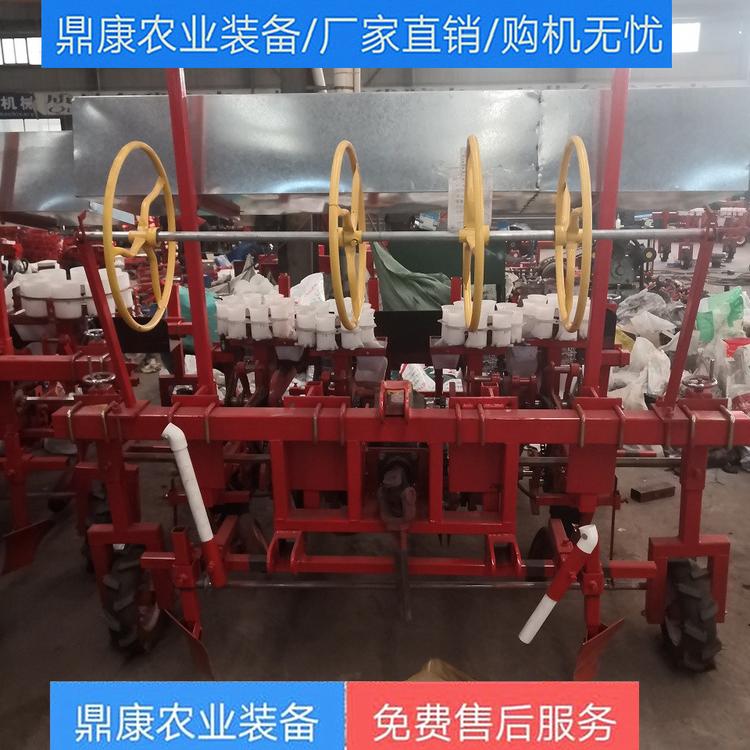蔬菜移栽机可定制洋葱药材甜菜厂家直销 批发零售