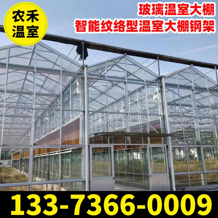 供应玻璃温室大棚 热镀锌连体大棚骨架 新型抗风雪蔬菜大棚 厂家现货
