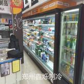 郑州商超展示柜 超市冷冻柜 饮料水果蔬菜冷冻保鲜柜