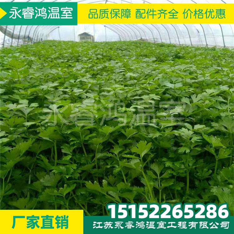 蔬菜大棚定做温室大棚材料 温室大棚智能 大棚钢管 大棚卡槽大棚配件