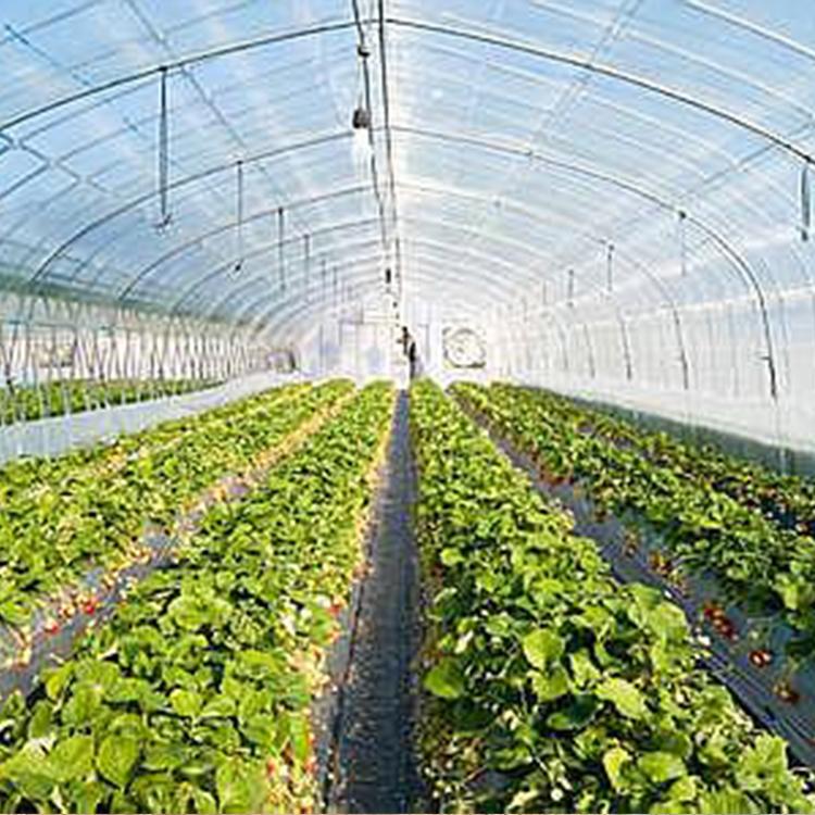 全新款式环保无毒大棚膜 航立加工认证厂商