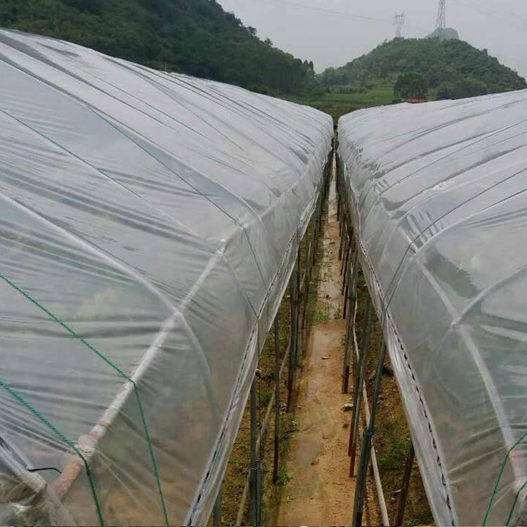 大棚PO膜绿白膜食用菌质量保障 使用时间长 冬季保温效果好