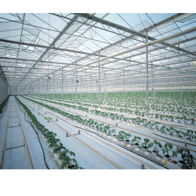 大棚 无土栽培专用温室大棚 农业观光项目展厅 高端采摘温室大棚