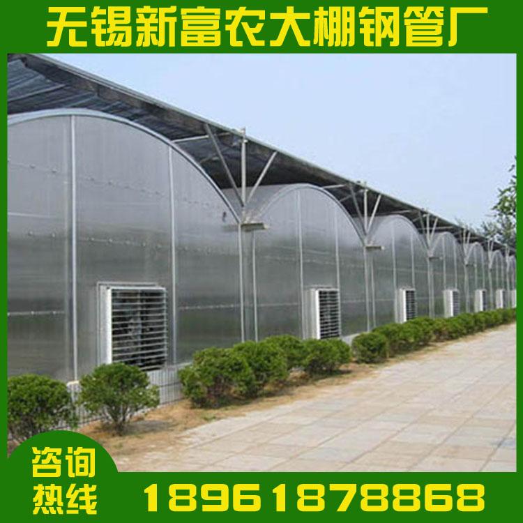 多肉植物温室大棚建设家用花卉连体温室钢架大棚温室配件齐全