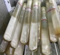 液体接种黑皮鸡枞菌菌种，活性强菌丝旺产量稳，提供技术指导服务。