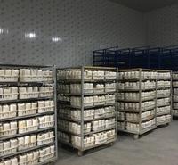 黑皮鸡纵菌种菌包，液体接种活性强菌丝旺产量稳，菌厂直销价格便宜