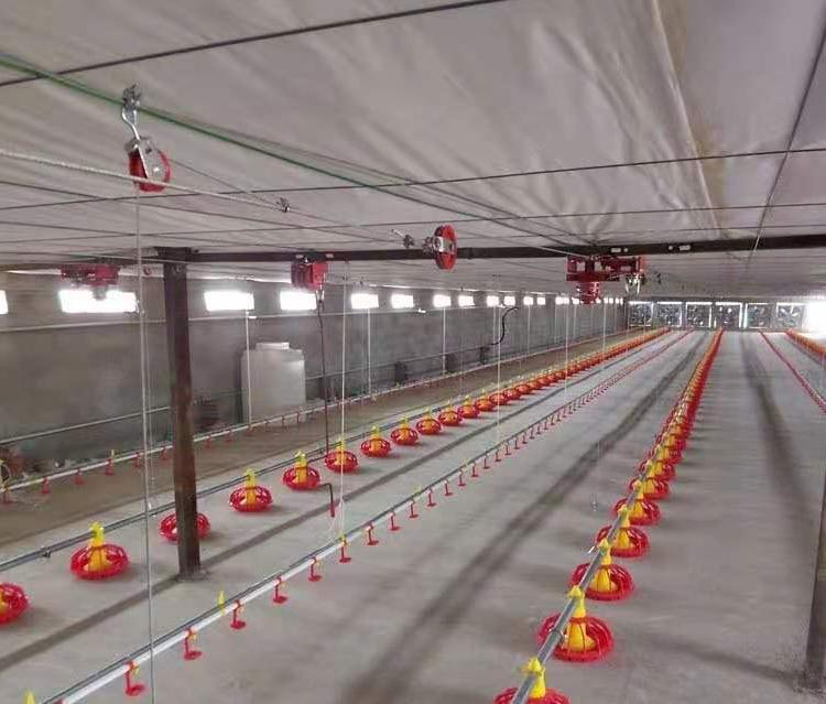 养鸡自动水线肉鸡水线养殖水线山东水线料线批发青州恒善
