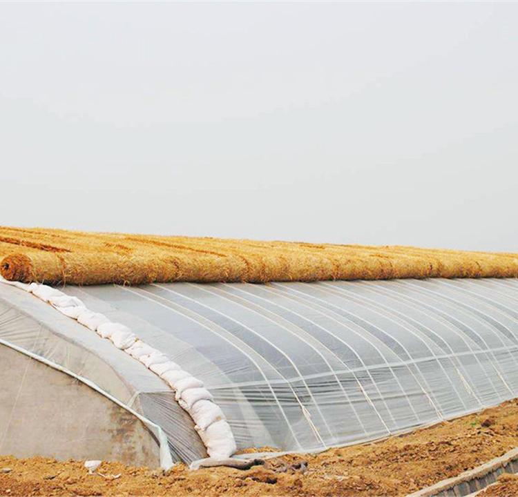 日光大棚建设 日光温室建造  青州日光大棚建造公司