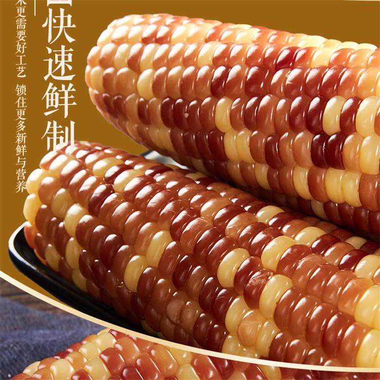 鲜食黄糯玉米棒加工设备-年香玉花糯玉米棒东北特产加工设备