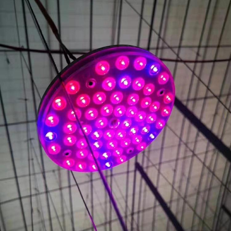 直销大棚LED植物补光灯育苗质量保证育苗灯厂直销
