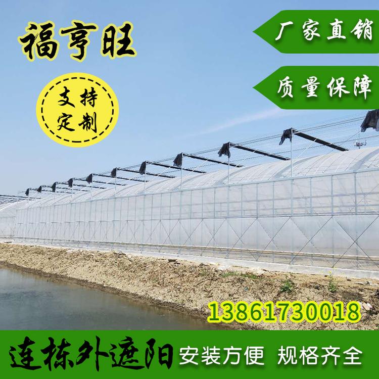 厂家现货直销云南蘑菇大棚绿白膜种植温室大棚农用温室蔬菜大棚