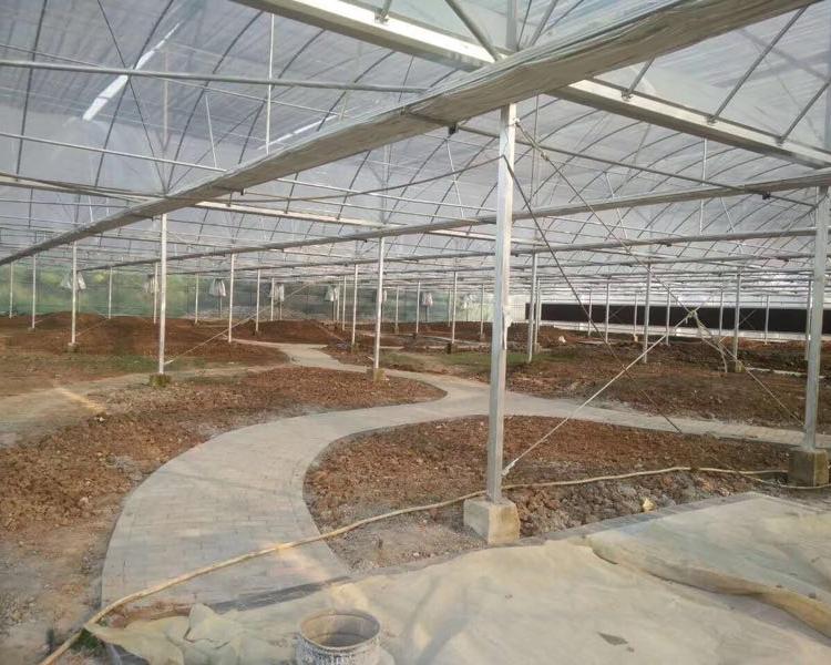 薄膜连栋大棚 拱形塑料薄膜 连栋智能温室承接 大棚温室骨架