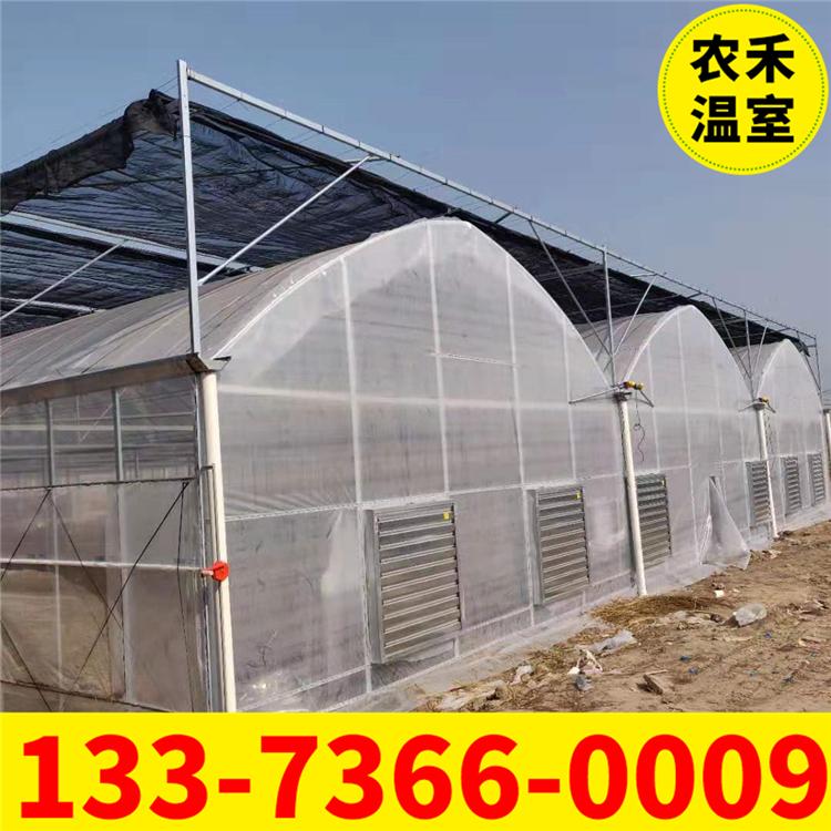 加工定制温室大棚 连体温室大棚 蔬菜大棚 智能玻璃温室大棚 厂家直销配件齐全