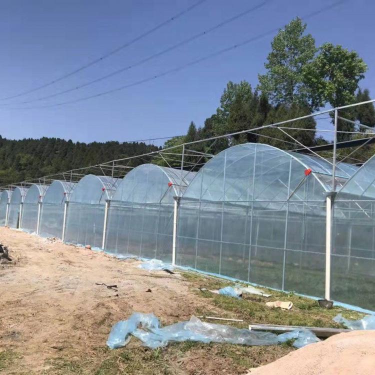 薄膜温室价格薄膜温室承接连栋温室1/