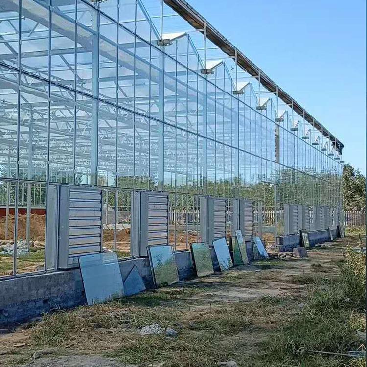 日光温室大棚连栋日光温室阳光温室大棚11