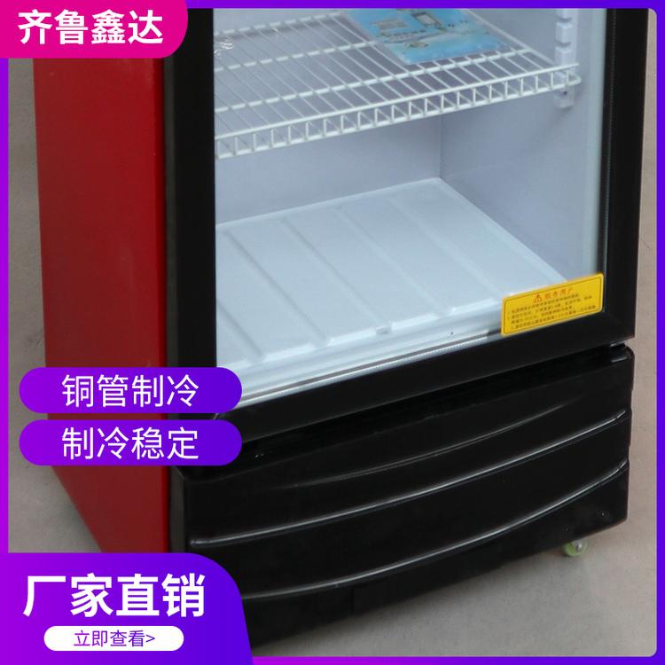 单门 双门 三门啤酒柜 商用立式展示柜 饮料冷藏柜