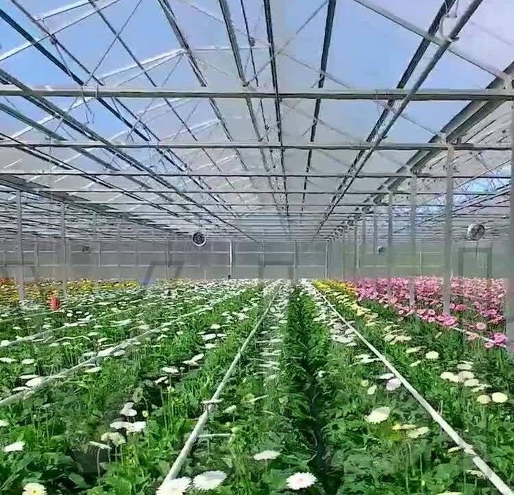 温室大棚 连栋温室 无土栽培温室 大棚生产厂家