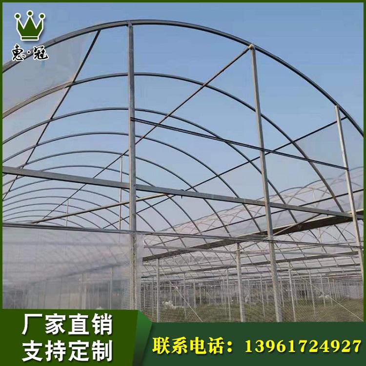 南阳供应玻璃连栋大棚技术专业