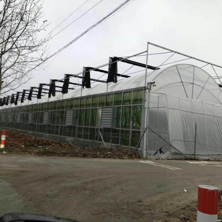 连栋温室 山东连栋温室建造 温室报价