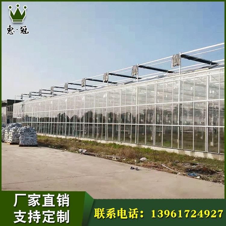 泰兴批发蔬菜大棚量大从优