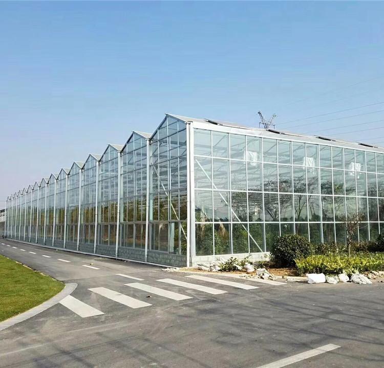 花卉养殖基地 玻璃温室 智能玻璃温室 花卉养殖无土栽培大棚