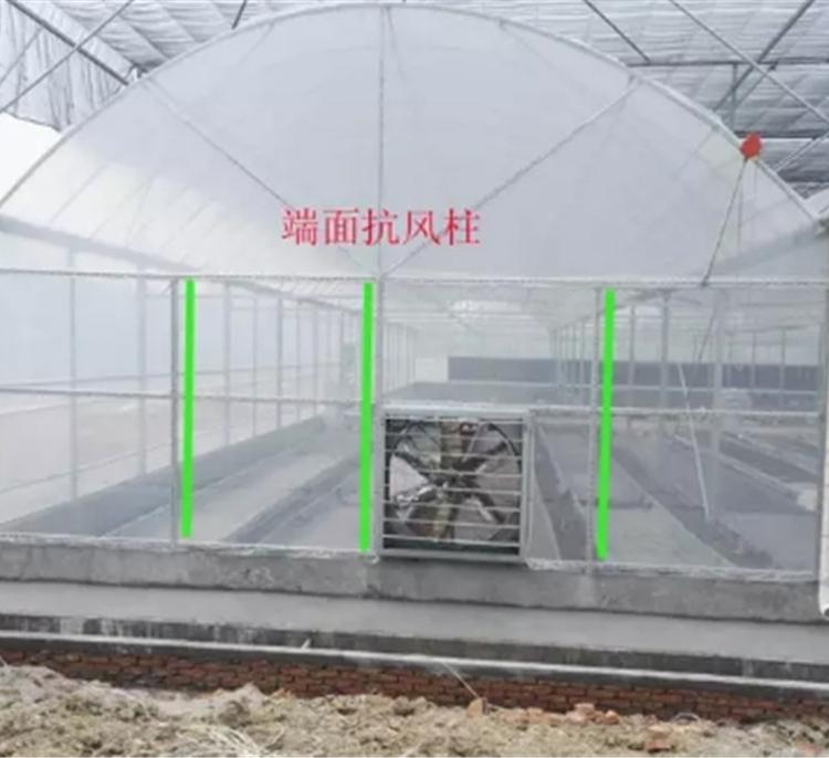 厂家推荐连栋薄膜温室 连栋薄膜温室建设 玻璃大棚保湿型好透光