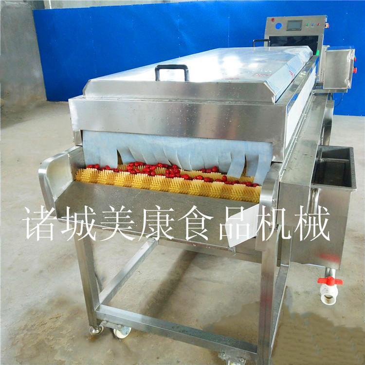 红枣清洗机-大型红枣清洗设备-软毛辊清洗机