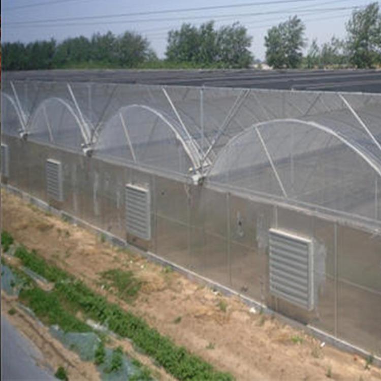 大棚灌浆膜 大棚黑白膜 大棚无滴膜 可适用于农作物产品冬季种植