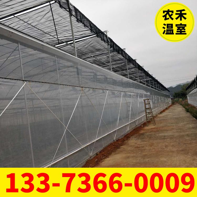 江苏定制连栋薄膜大棚 蔬菜大棚 玻璃大棚 智能温室 花卉大棚 无锡大棚厂家 温室大棚造价 厂家直销