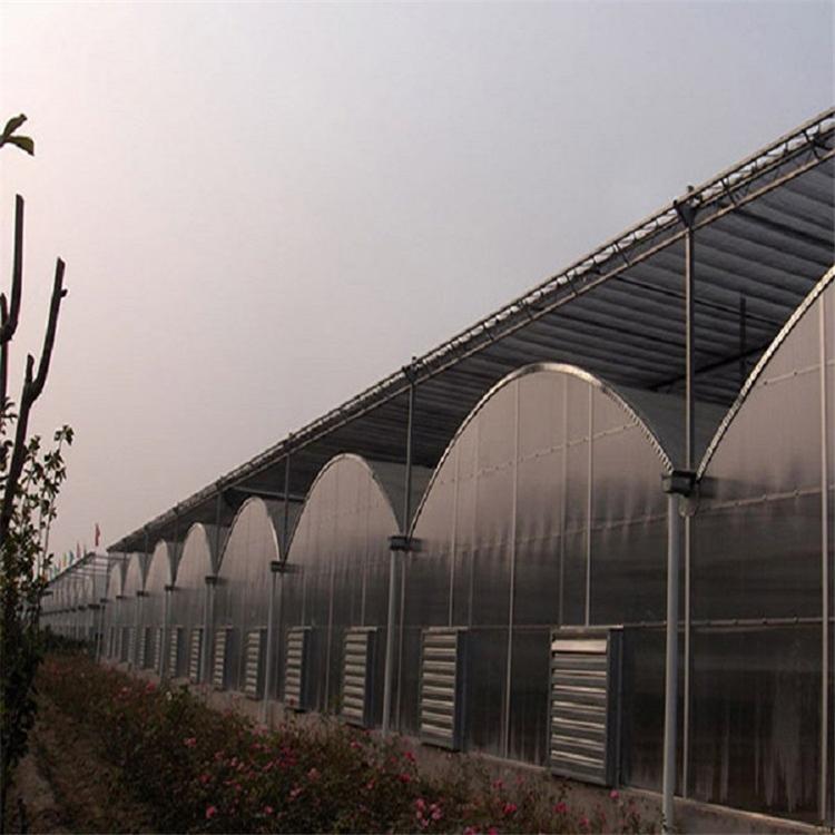 连栋温室大棚 连栋薄膜温室大棚建设 山东连栋薄膜温室大棚