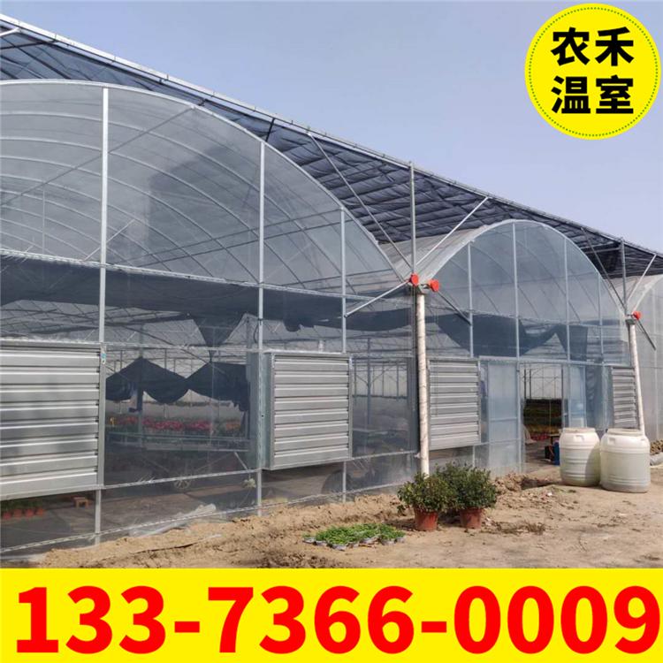 厂家直销江西连栋薄膜温室大棚骨架 连体大棚材料 蔬菜大棚造价 智能花卉温室大棚
