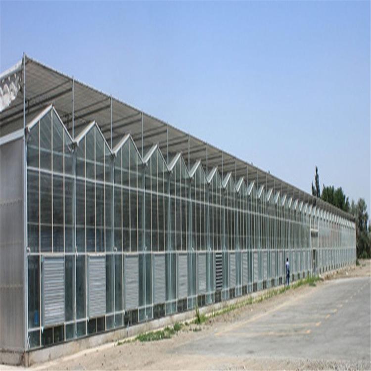 阳光板温室承建商 鑫创温室 智能温室大棚 花卉PC温室大棚