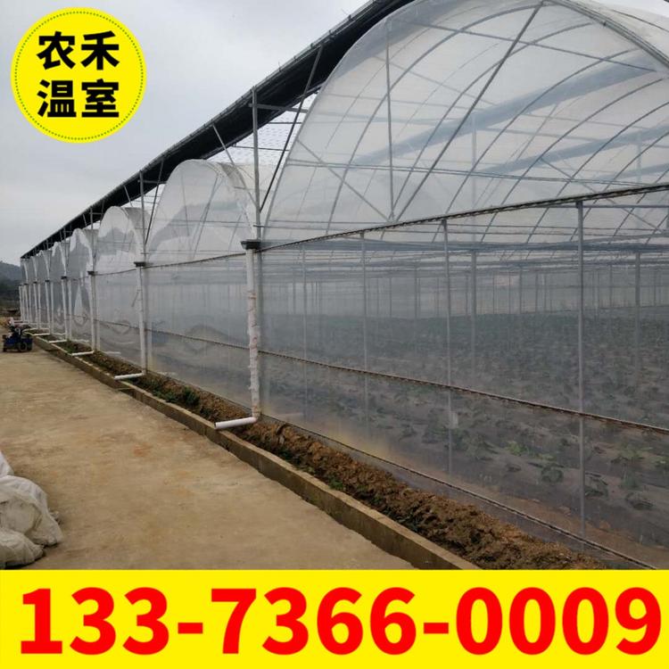 安徽薄膜连栋大棚骨架 蔬菜大棚厂家 连体大棚材料 玻璃温室大棚 智能温室大棚 无锡温室大棚厂家