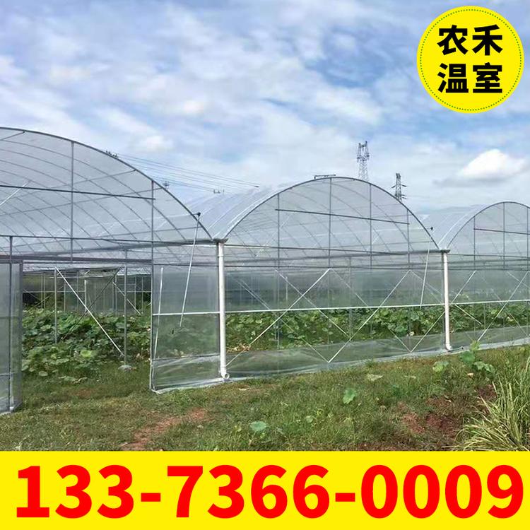 厂家直发连栋温室大棚 蔬菜大棚 薄膜温室大棚 支持定制