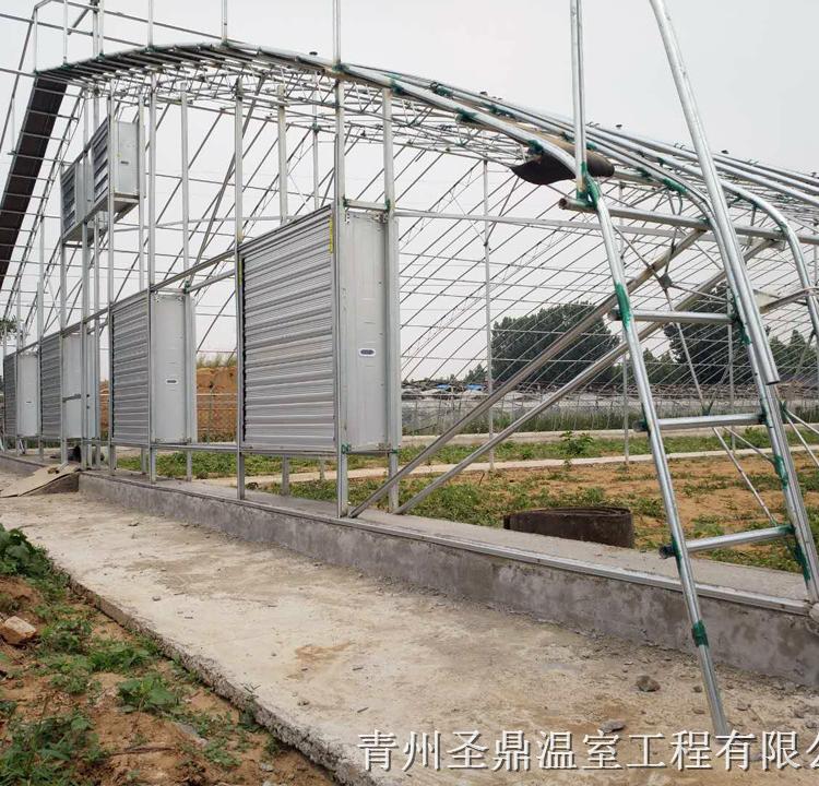 日光温室 蔬菜日光温室成本 花卉日光温室大棚承建