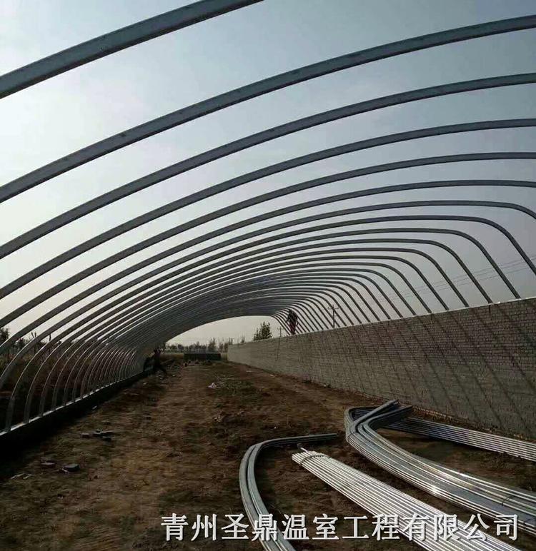 蔬菜日光温室大棚 育苗日光温室造价 建造育苗日光温室