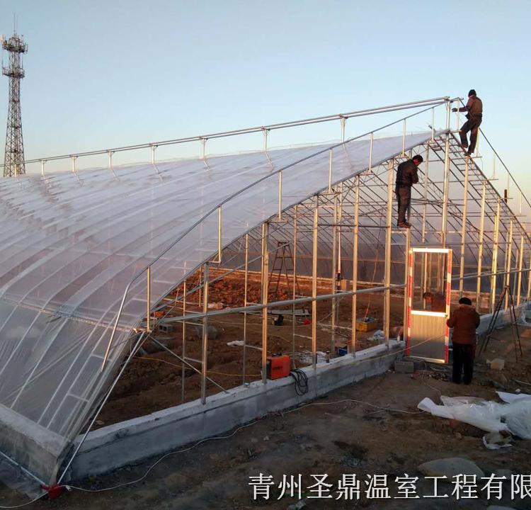 育苗日光温室大棚 日光温室工程 承建日光温室