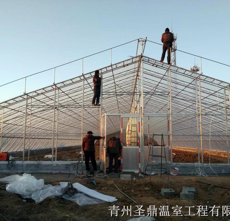 花卉日光温室大棚 日光温室建设 承建日光温室