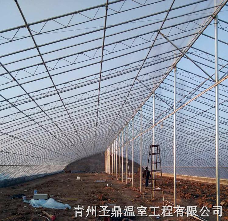 农业种植日光温室 日光温室建设 建造日光温室