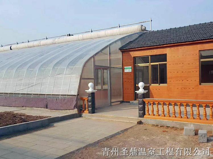 承建花卉温室大棚_育苗温室工程 日光温室大棚建造商-圣鼎