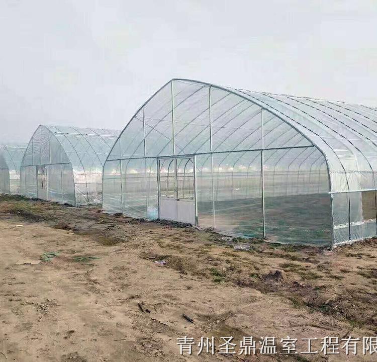 欢迎致电 安徽 农业种植日光温室建造