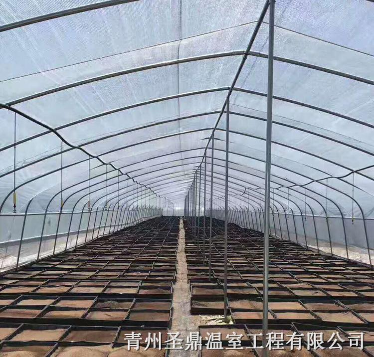 欢迎咨询 河南 农业种植日光温室工程