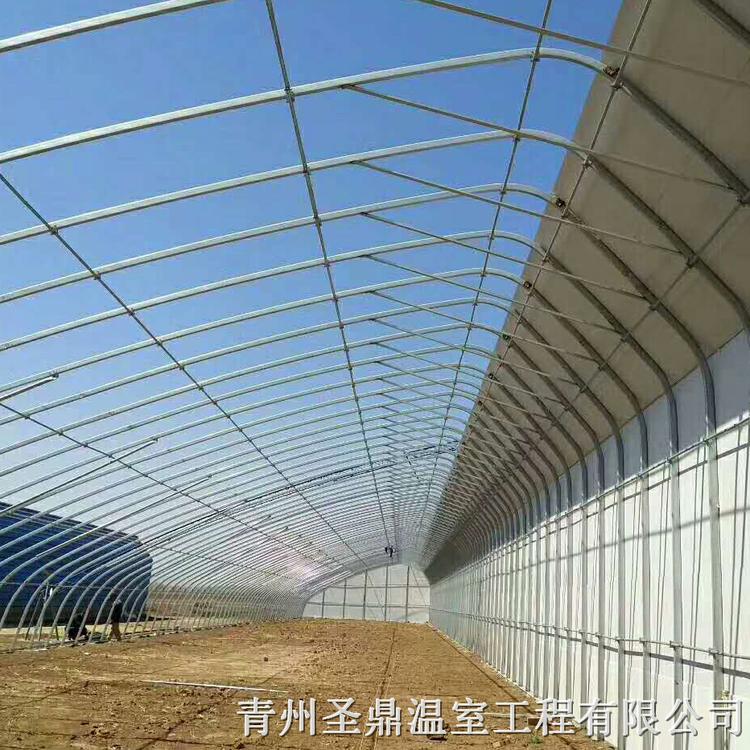 蔬菜日光温室大棚 育苗日光温室建设 【圣鼎】承建育苗日光温室