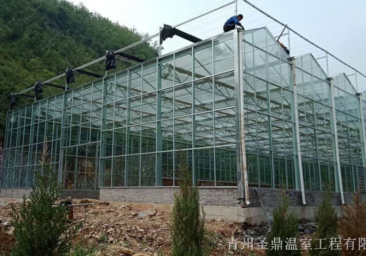 玻璃温室大棚成本 河南玻璃温室大棚建造商